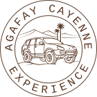 LOGO_COLOR